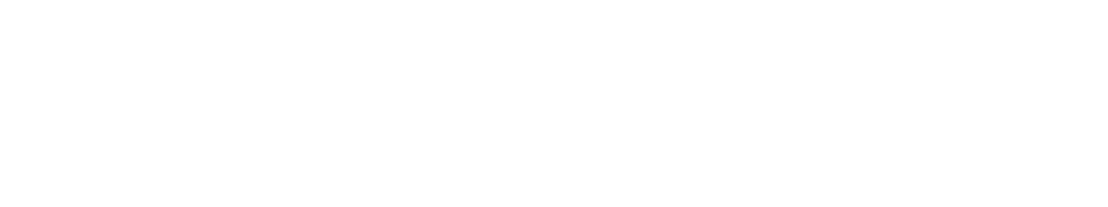 NOVUM MARKETING